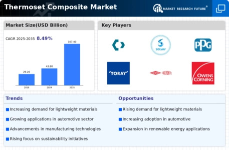 Thermoset Composite Market Infographic