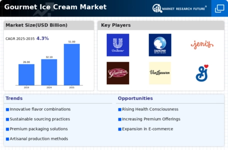 Gourmet Ice Cream Market Infographic