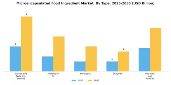 Microencapsulated Food Ingredient Market Segment Image 0