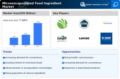 Microencapsulated Food Ingredient Market Infographic