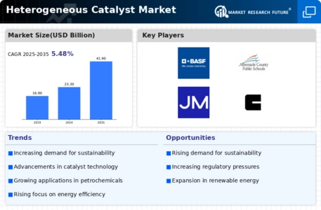 Heterogeneous Catalyst Market Infographic