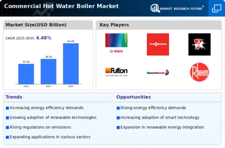 Commercial Hot Water Boiler Market Infographic