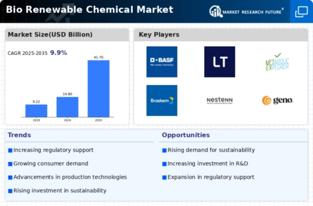 Bio Renewable Chemical Market Infographic