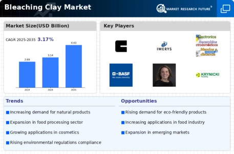 Bleaching Clay Market Infographic