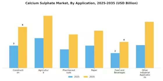 Calcium Sulphate Market Segment Image 1