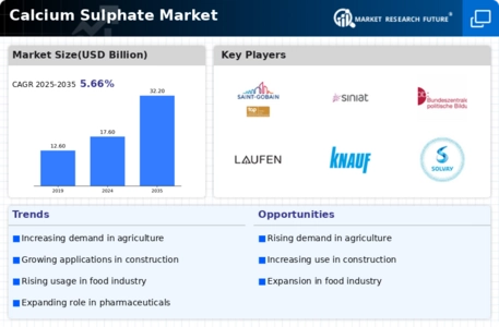 Calcium Sulphate Market Infographic