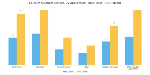 Calcium Sulphate Market Segment Image 1