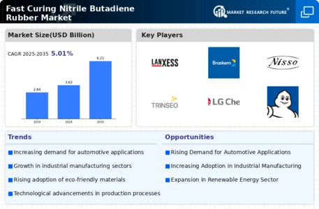 Fast Curing Nitrile Butadiene Rubber Market Infographic