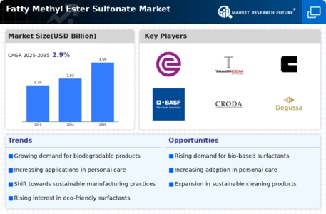 Fatty Methyl Ester Sulfonate Market Infographic