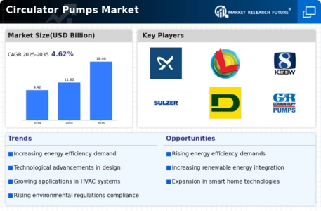Circulator Pumps Market Infographic