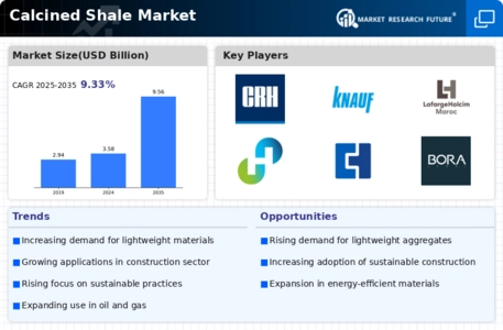 Calcined Shale Market Infographic
