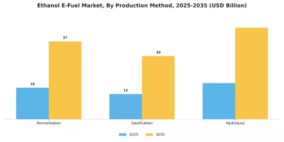 Ethanol E Fuel Market Segment Image 3