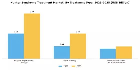 Hunter Syndrome Treatment Market Segment Image 1