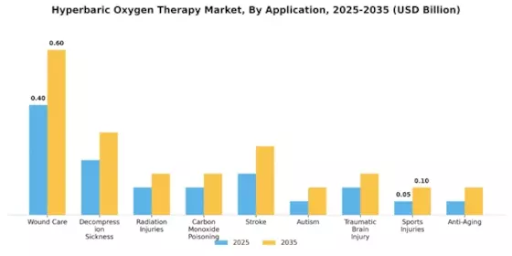 Hyperbaric Oxygen Therapy Market Segment Image 0