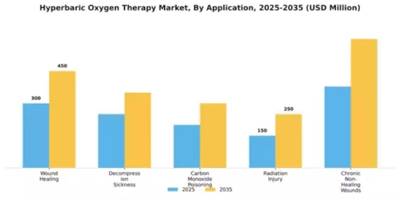Hyperbaric Oxygen Therapy Market Segment Image 0