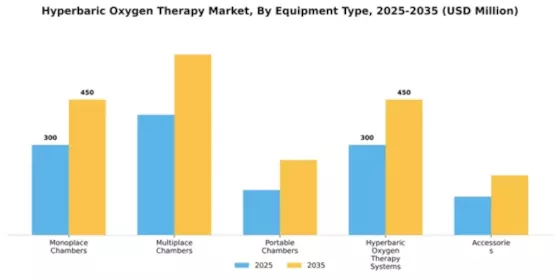 Hyperbaric Oxygen Therapy Market Segment Image 2
