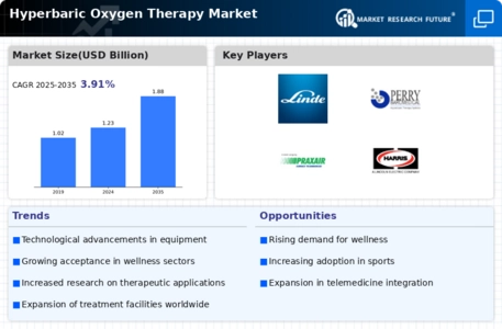 Hyperbaric Oxygen Therapy Market Infographic