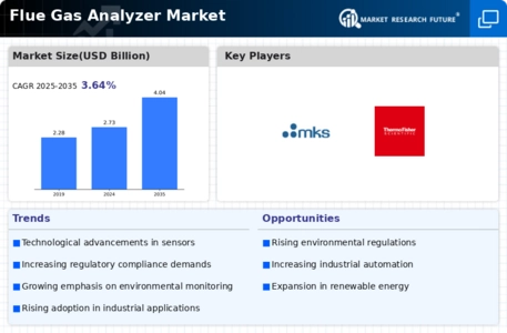 Flue Gas Analyzer Market Infographic