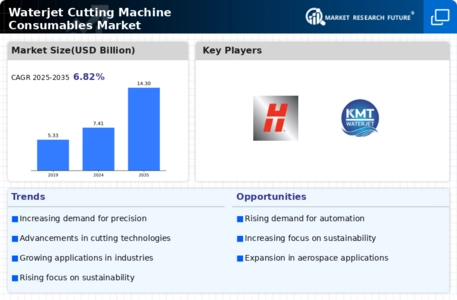 Waterjet Cutting Machine Consumables Market Infographic