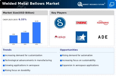 Welded Metal Bellows Market Infographic