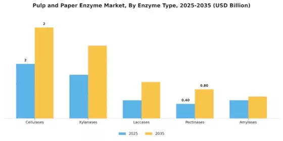 Pulp and Paper Enzyme Market Segment Image 0