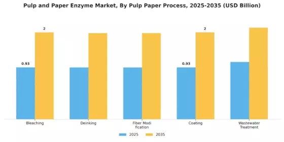 Pulp and Paper Enzyme Market Segment Image 1