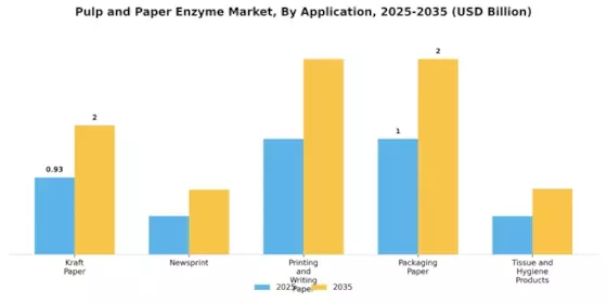 Pulp and Paper Enzyme Market Segment Image 2