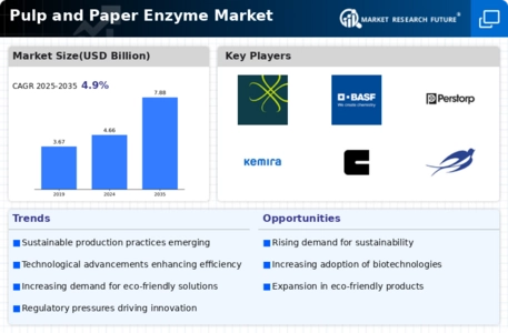 Pulp and Paper Enzyme Market Infographic