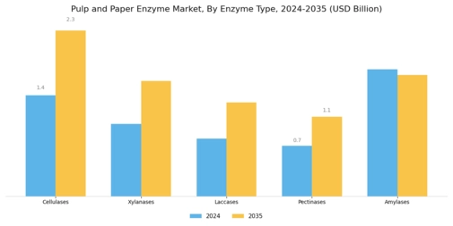 Pulp and Paper Enzyme Market Segment Image 0