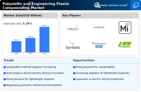 Polyolefin and Engineering Plastic Compounding Market Infographic