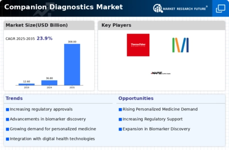 Companion Diagnostic Market Infographic