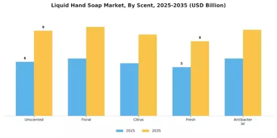 Liquid Hand Soap Market Segment Image 3