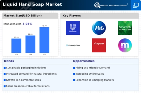 Liquid Hand Soap Market Infographic