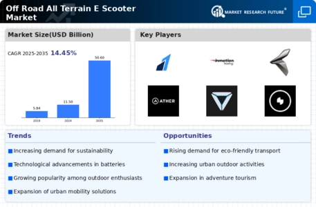 Off Road All Terrain E Scooter Market Infographic