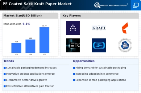 Pe Coated Sack Kraft Paper Market Infographic