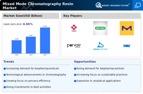 Mixed Mode Chromatography Resin Market  Infographic
