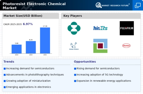Photoresist Electronic Chemical Market Infographic