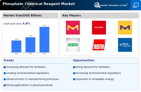 Phosphate Chemical Reagent Market Infographic