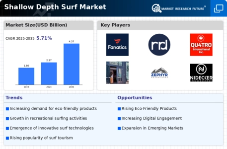 Shallow Depth Surf Market Infographic