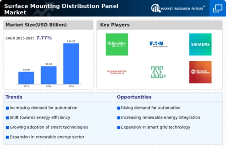 Surface Mounting Distribution Panel Market
 Infographic