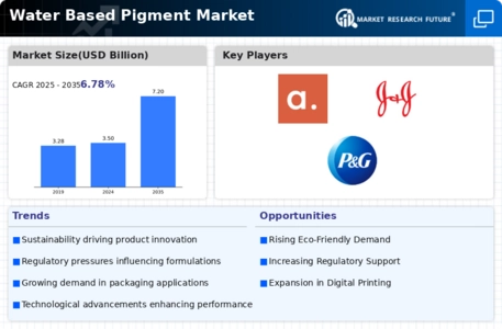 Water Based Pigment Market Infographic