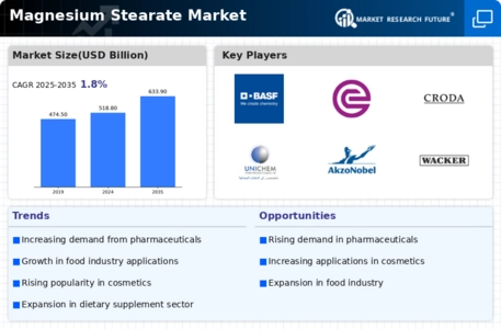 Magnesium Stearate Market Infographic