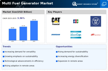 Multi Fuel Generator Market Infographic