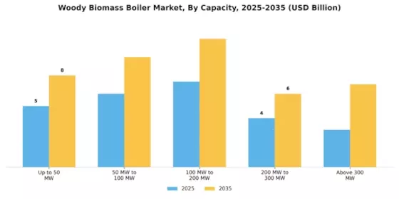 Woody Biomass Boiler Market
 Segment Image 0