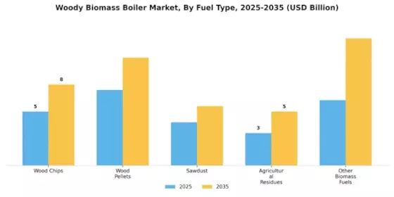 Woody Biomass Boiler Market
 Segment Image 1