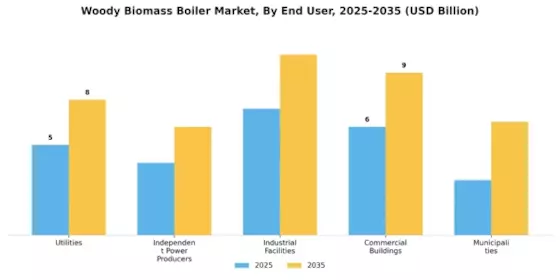 Woody Biomass Boiler Market
 Segment Image 3