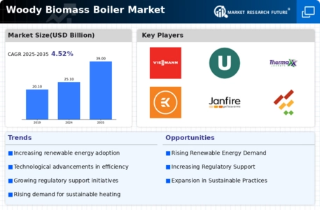 Woody Biomass Boiler Market
 Infographic