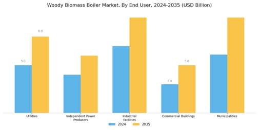 Woody Biomass Boiler Market
 Segment Image 3