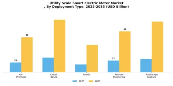 Utility Scale Smart Electric Meter Market Segment Image 2
