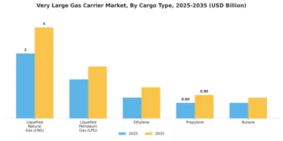 Very Large Gas Carrier Market Segment Image 2